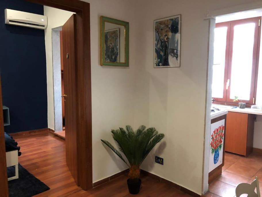 Appartement F839